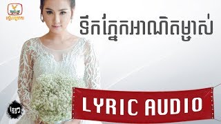 yt
