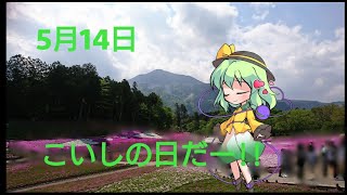 こいしの日だー!!