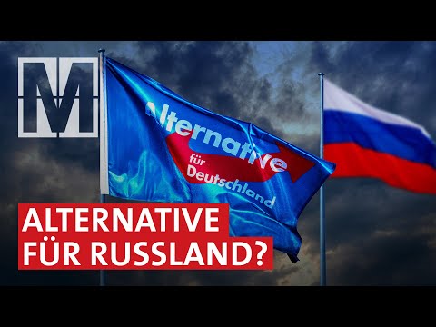 AfD: Die Putinpartei - MONITOR