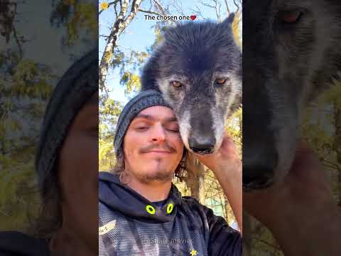 The Sweetest Animal Encounters Caught On Camera ❤️ #heartwarming #purelove #animallove #worldcup