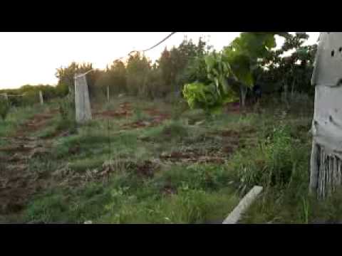 تقدم عناصر كتيبة سند حوران عل الخطوط الأمامية لحاجز التابلين في ريف درعا ضمن معركة توحيد الصفوف