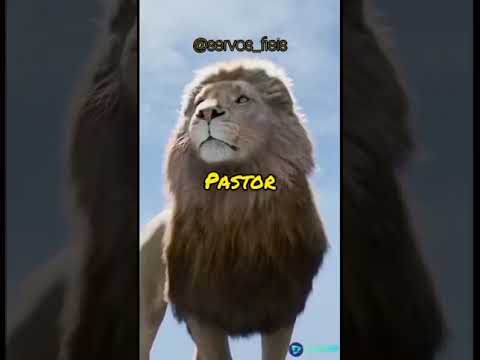 Advogado Fiel video
