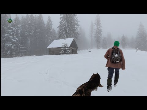 O ZI PIERDUT ÎN SĂLBĂTICIA APUSENILOR ❄️ CEAȚĂ, NINSOARE ȘI LINIȘTE TOTALĂ | EP.91