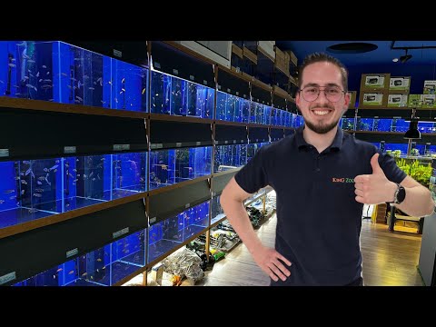 KING ZOO - sklep zoologiczny Lublin