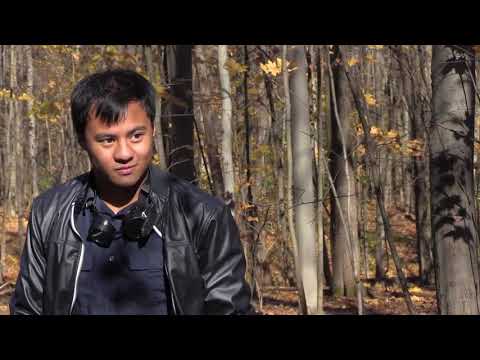 Limina Online Teaser