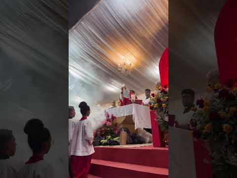 Novena de São Brás - Taperoá - Ba