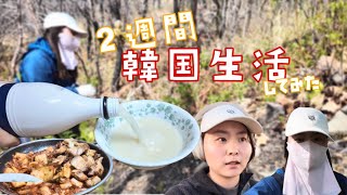 2週間韓国生活してみた|⚠︎韓国語喋れません