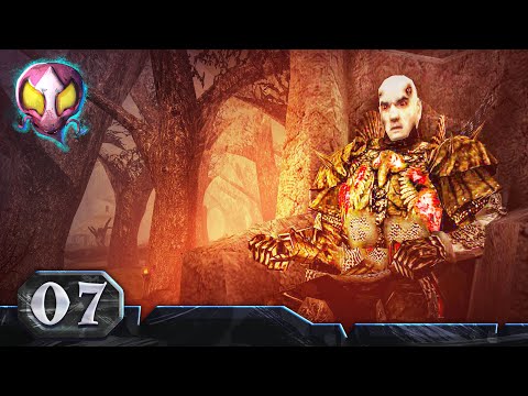 Xeres' Rückkehr #7 | Die Vermissten und das Labyrinth der Beliarfestung