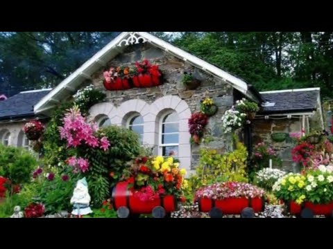 Case frumos impodobite cu flori, idei, poze frumoase cu flori, citeste descrierea