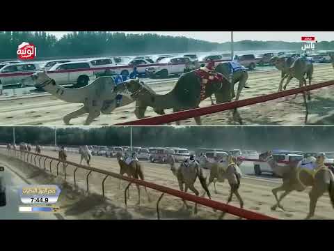  ش 4 خنجر حول محليات (ترسانه) ناصر عبدالله المسند 12:10:30 ، ختامي المرموم 2026/4/1 