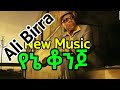 Ali Birra አማሌሌ በአማርኛ Ethiopian New Music New Oromo Music Remix