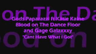Gods Paparazzi ft Katie Kaine Blood on the Dance Floor and Gage Galaxxxy