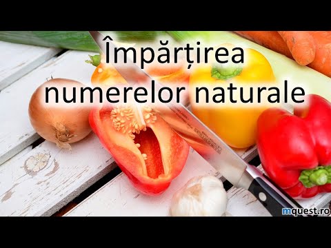 Impartirea numerelor naturale, recapitulare din clasa a 4 a
