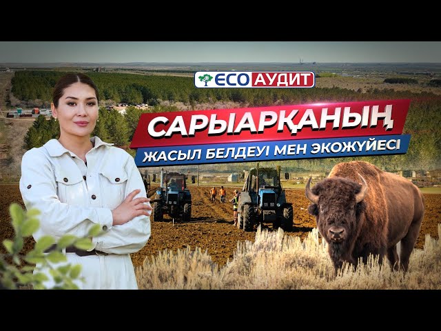 Болашақтың экологиясы: Сарыарқаның 2026 жылға даму стратегиясы