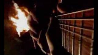 Root- madnes in the graves