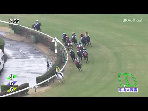 2018.12.22 Nakayama Daishogai (JPN) - Nihonpiro Baron