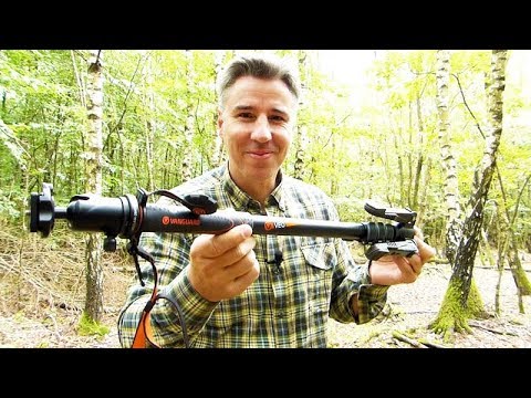 Schießstock + Einbeinstativ: Geniale Doppelfunktion - JAGD TOTAL