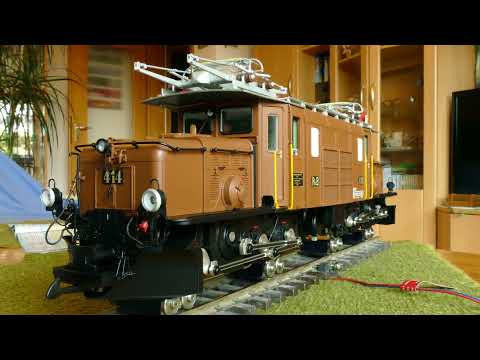 s'Wälder Bähnle - 100 Jahre Rhätisches Krokodil