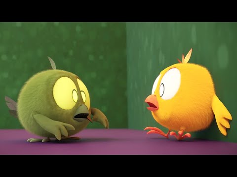 Night of the Chickys | Where's Chicky? | Cartoon Collection in English for Kids | New episodes
