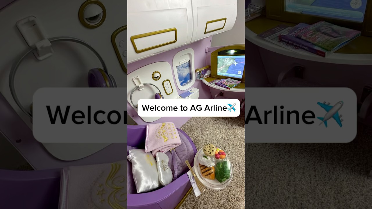 Satisfying Setting Up AG Airline With Miniature Toys | Doll House #shortsfeed #shorts #asmr #viral