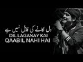 Khubsurat Hai Lekin Dil Lagane Ke Kabil Nahi Beautiful WhatsApp Status 20 Second