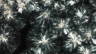 Polymer crystalization - Prof. Jan Vermant