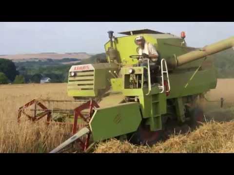 Ernte von Linsen und Hafer im Bliesgau