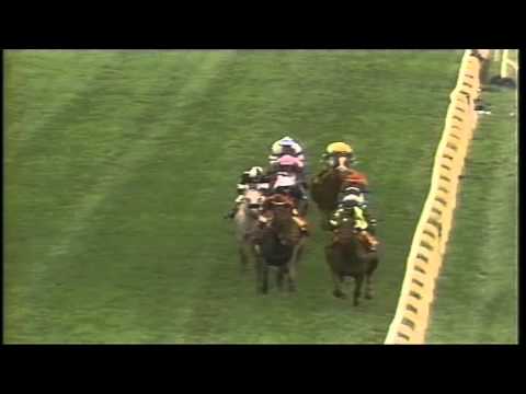 1993 Arlington Million Star of Cozzene