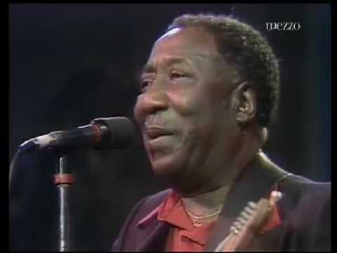 Muddy Waters • Live In Montreal 1980