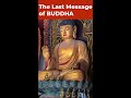 The Last Message of BUDDHA   #Shorts