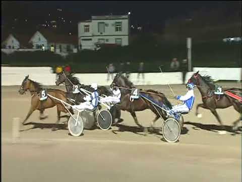 Trotto 19/12/2017 - 4ª corsa