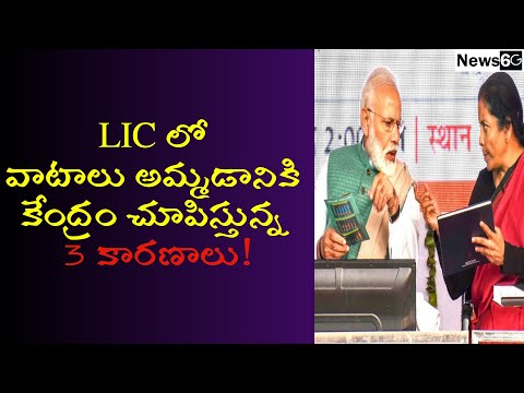 lic ipo good or bad explain in telugu