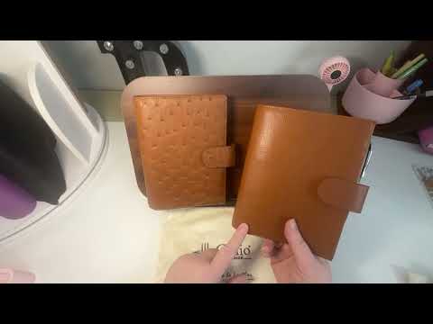 Comparing Gillio Golds In Medium Amicas  And Compagna Medium XL