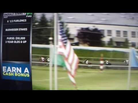 (BUDWEISER STAKES) - 2017 -MACH ONE RULES !!!