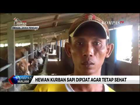 Krim saya dan Anda untuk pembesaran penis Ulasan tentang pompa hidrolik untuk pembesaran penis