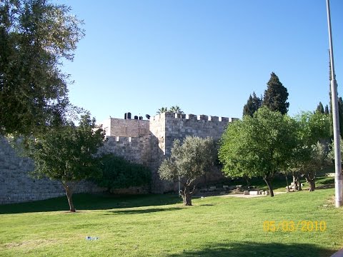 A Bíblia Simplificada - 10 de março, Deuteronômio 11, III