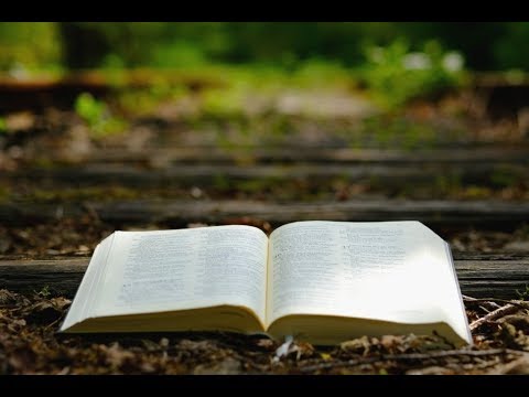 Meditatie stille week maandagavond 06-04-2020 HHG Sirjansland | Ds. K. den Boer