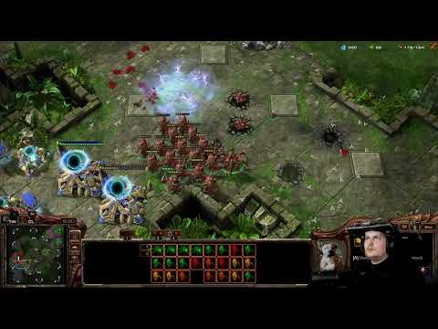 StarCraft 2 Zerg vs Protoss Lose with grace