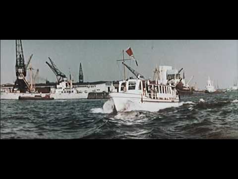 Promotiefilm Rotterdamse haven 1956