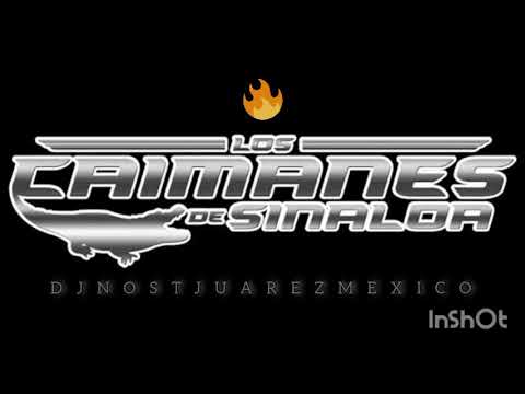 Los Caimanes de Sinaloa Mix 🇲🇽 @djricardoparrajuarezmexico