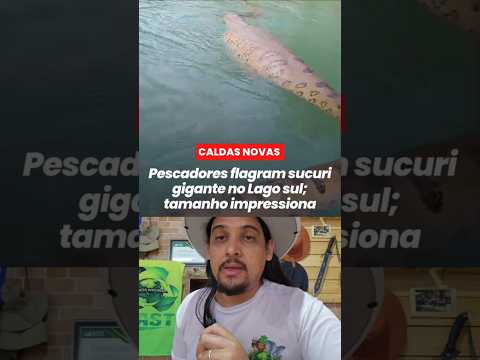 ATENÇÃO: FOI AVISTADO UMA DAS MAIORES SERPENTES DO PLANETA EM CALDAS NOVAS!
