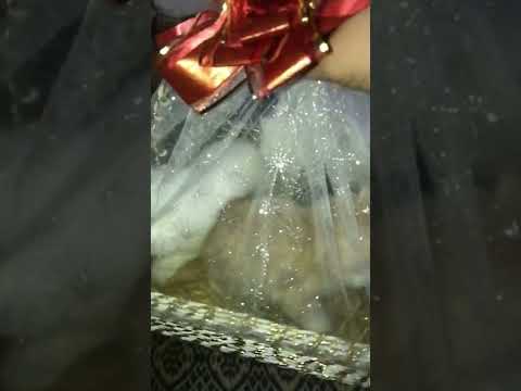 Adorable kittens || Triplets goal || Doaa’s Diary