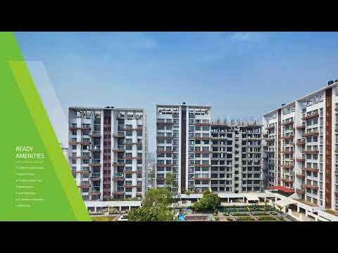 Lushlife Ovo Project Tour 1