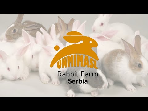 "UNMIMASL" Farma kunića Korporativni film. -"UNMIMASL" RABBIT FARM Corporate film