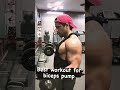 Biceps pump workout #biceps #fitness #exercise #traning