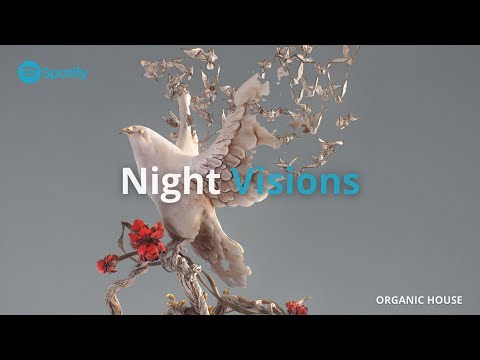 Avi Snow, Tamir Regev, Ben Cina - Common Ground [Plaisirs Sonores Records] | ORGANIC HOUSE 2023