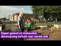Andrea is ten einde raad en sluit na dertig jaar haar dierenopvang