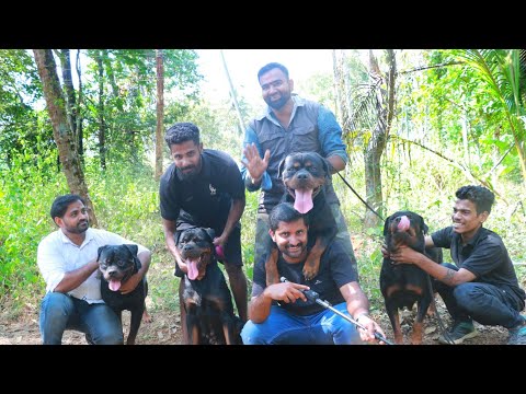 download lagu mp3 mp4 Rott, download lagu Rott gratis, unduh video klip Rott