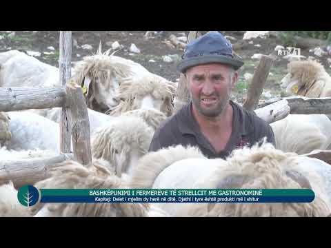 Toka - Bashkëpunimi i fermerëve të Strellcit me gastronominë  23.07.2025