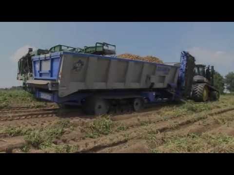 2015 Crop Shuttle Potato